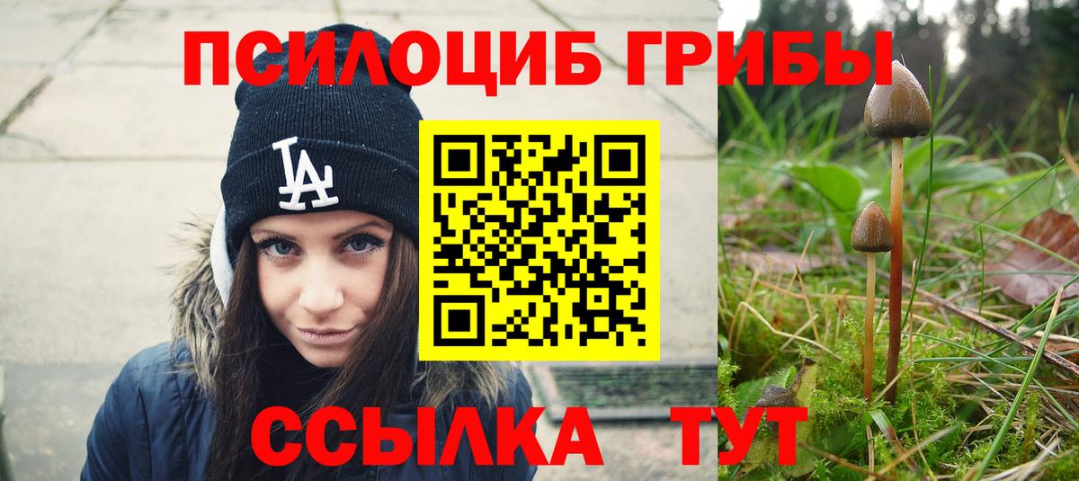 Галлюциногенные грибы Cubensis Глазов